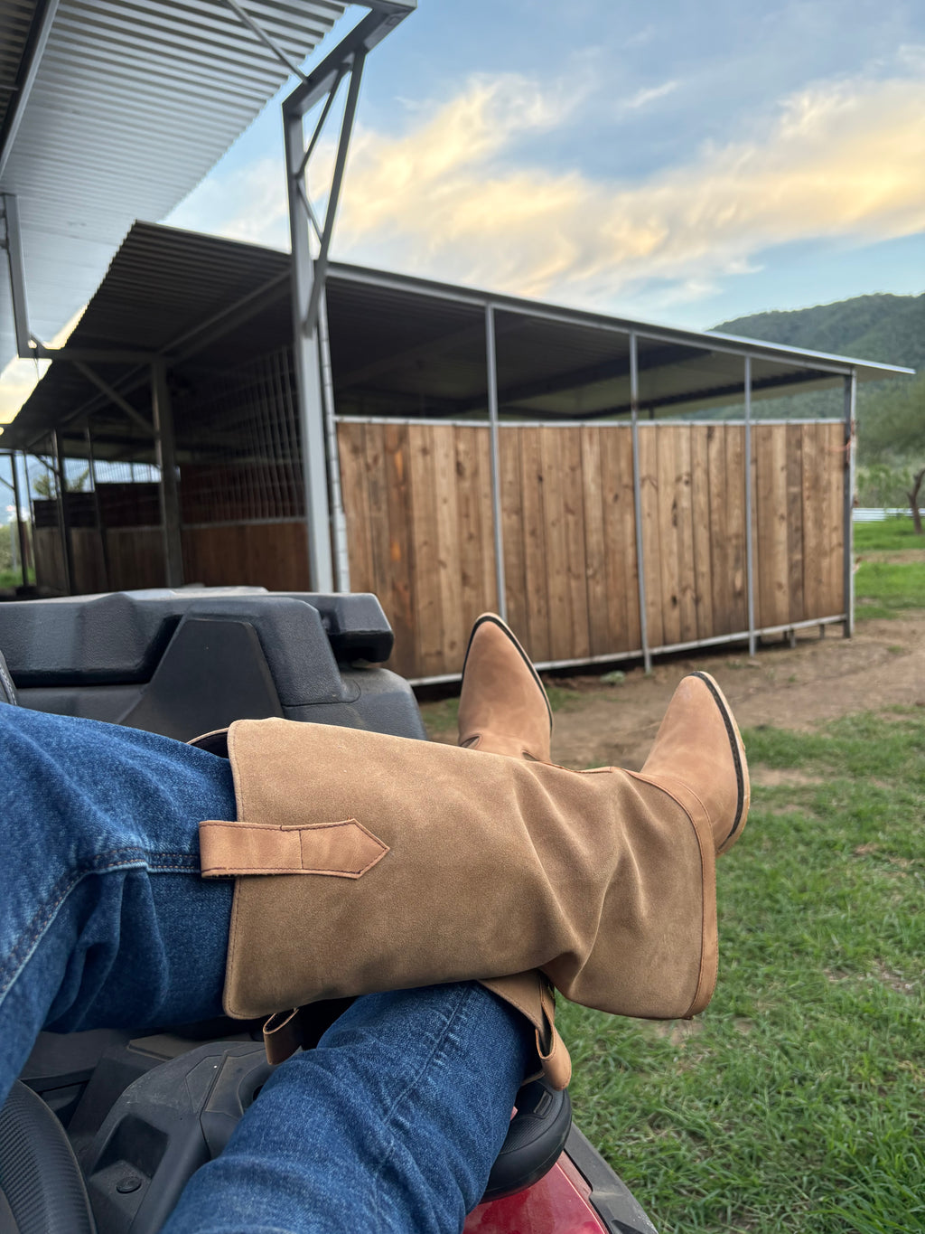 Bota Carnaza Camel
